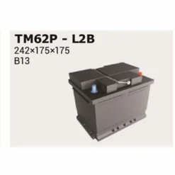 Ipsa TM62P