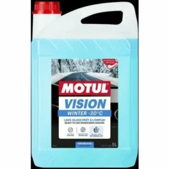 Motul VISION WINTER